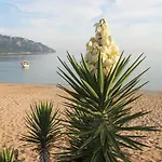 Kostas