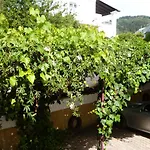 Kostas