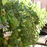 Appartamento Kostas