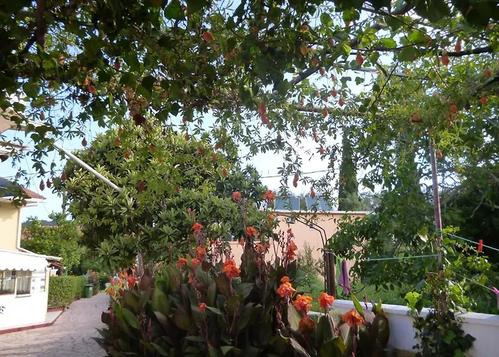 Kostas 圣佐治欧斯帕贡