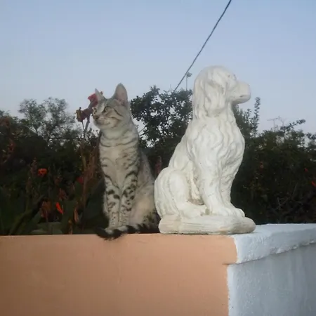 Kostas Apartamento *