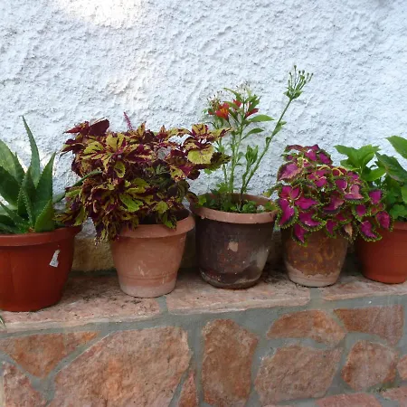 Apartamento Kostas *