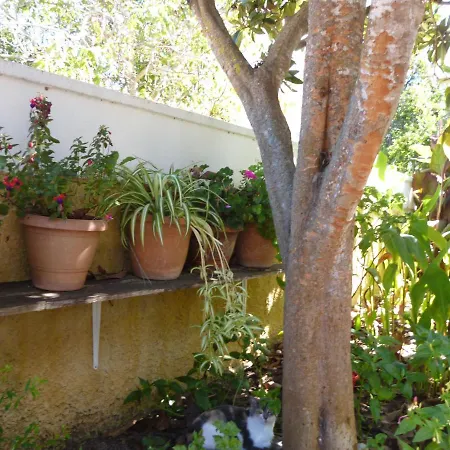 Kostas Appartement *