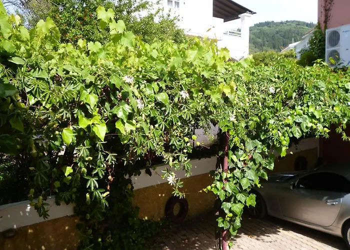 Kostas