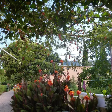 Kostas Agios Georgios Pagon