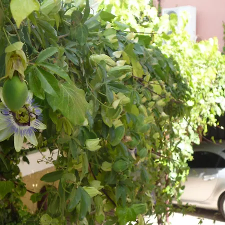 Apartamento Kostas